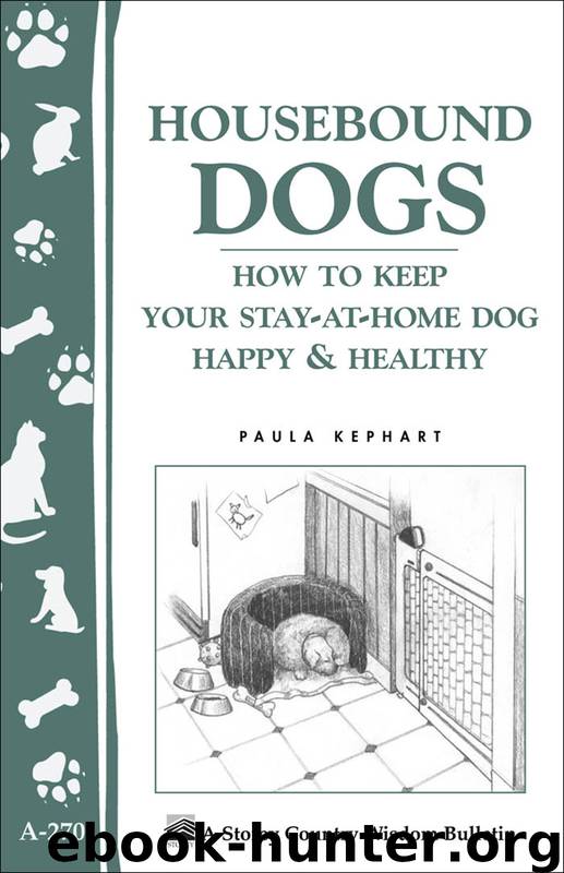 Housebound Dogs by Paula Kephart