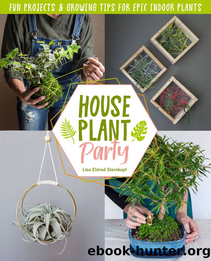 Houseplant Party by Steinkopf Lisa Eldred;