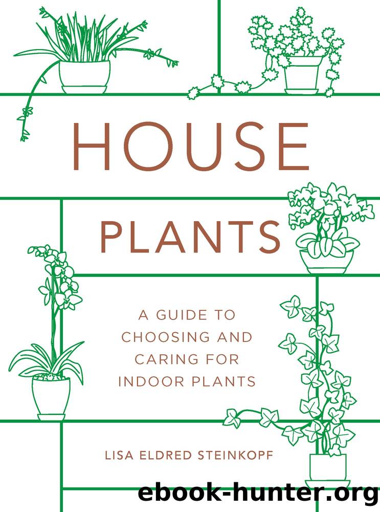 Houseplants (mini) by Lisa Eldred Steinkopf