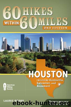 Houston by Laurie Roddy