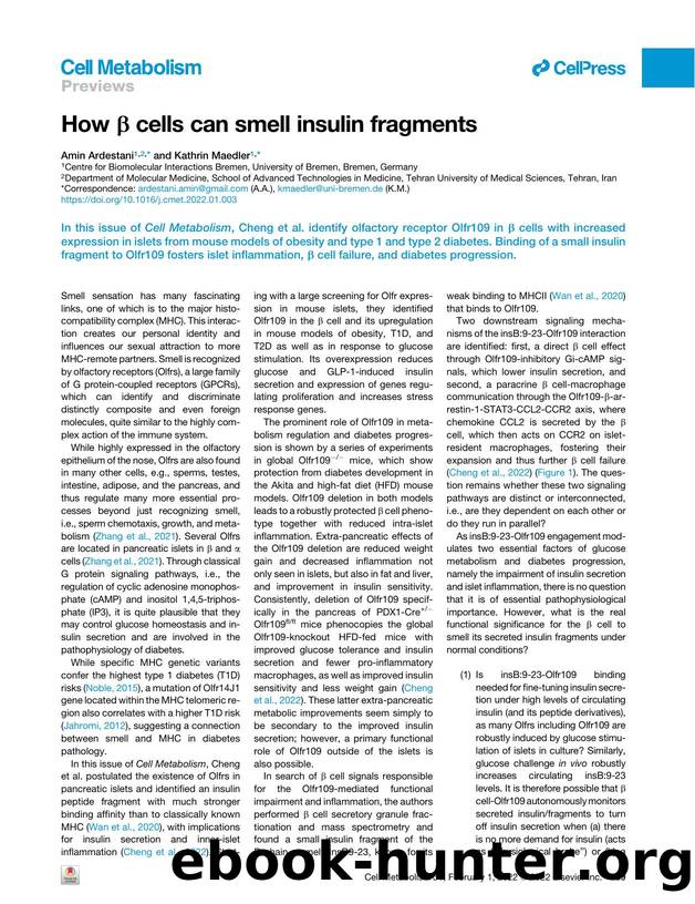 How &beta; cells can smell insulin fragments by Amin Ardestani & Kathrin Maedler
