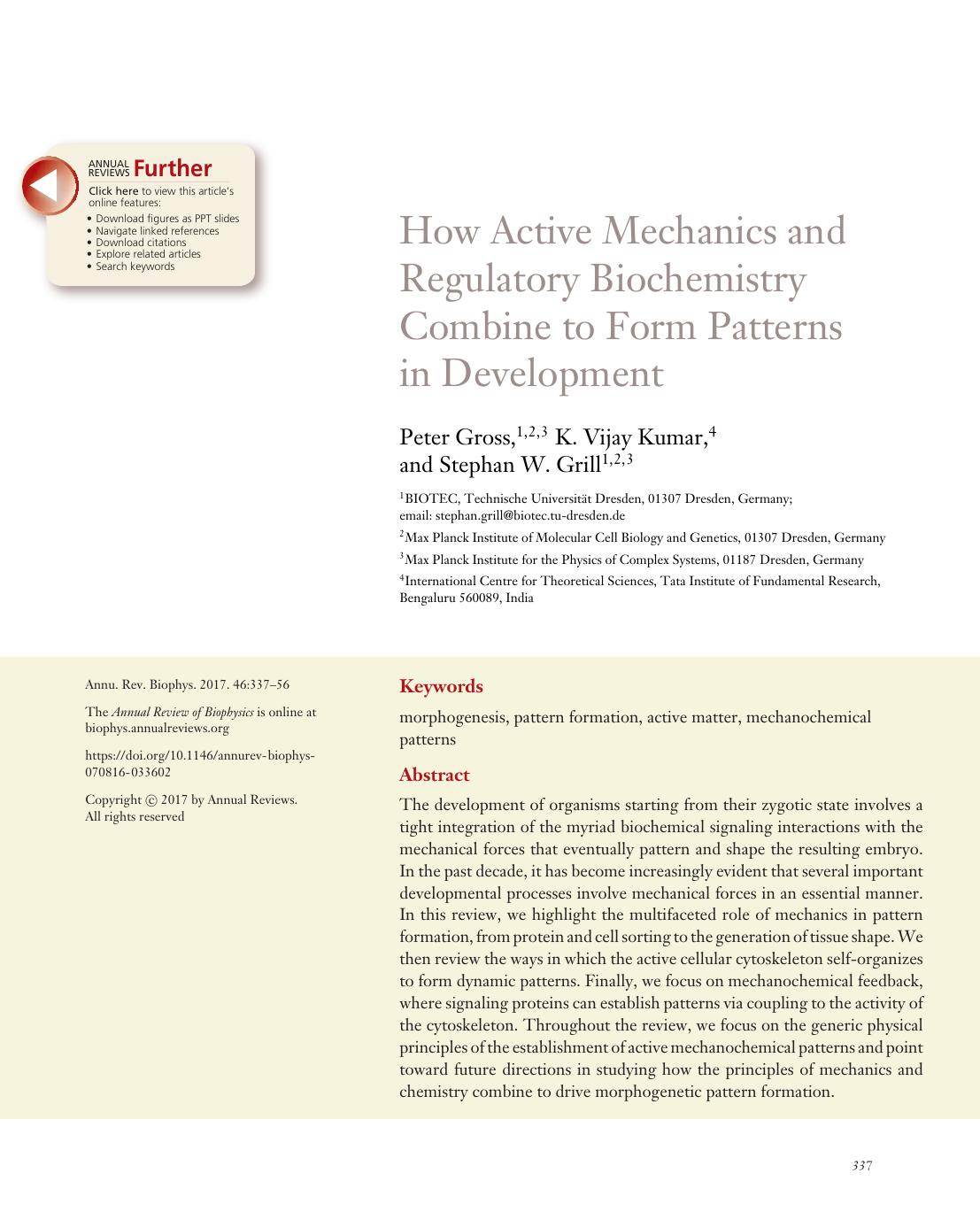 How Active Mechanics and Regulatory Biochemistry Combine to Form Patterns in Development by Peter Gross K. Vijay Kumar Stephan W. Grill