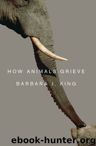 How Animals Grieve by Barbara J. King