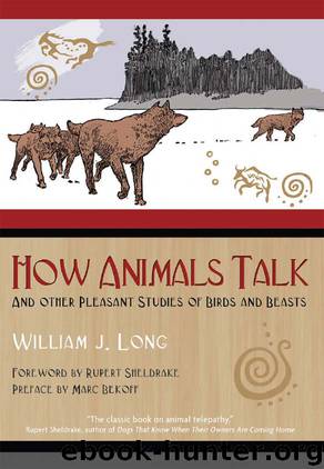 How Animals Talk by William J. Long