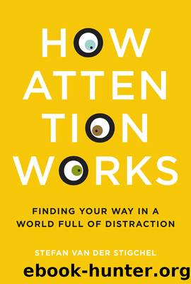 How Attention Works by Guinan Danny; Van Der Stigchel Stefan;