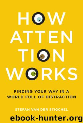 How Attention Works: Finding Your Way in a World Full of Distraction by Stefan van Der Stigchel