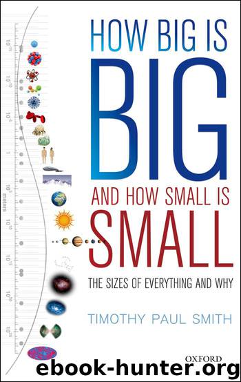 How Big is Big and How Small is Small by Smith Timothy Paul