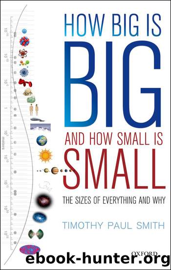 How Big is Big and How Small is Small by Timothy Paul Smith