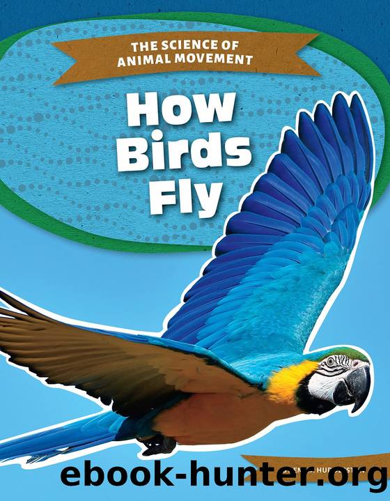 How Birds Fly by Emma Huddleston