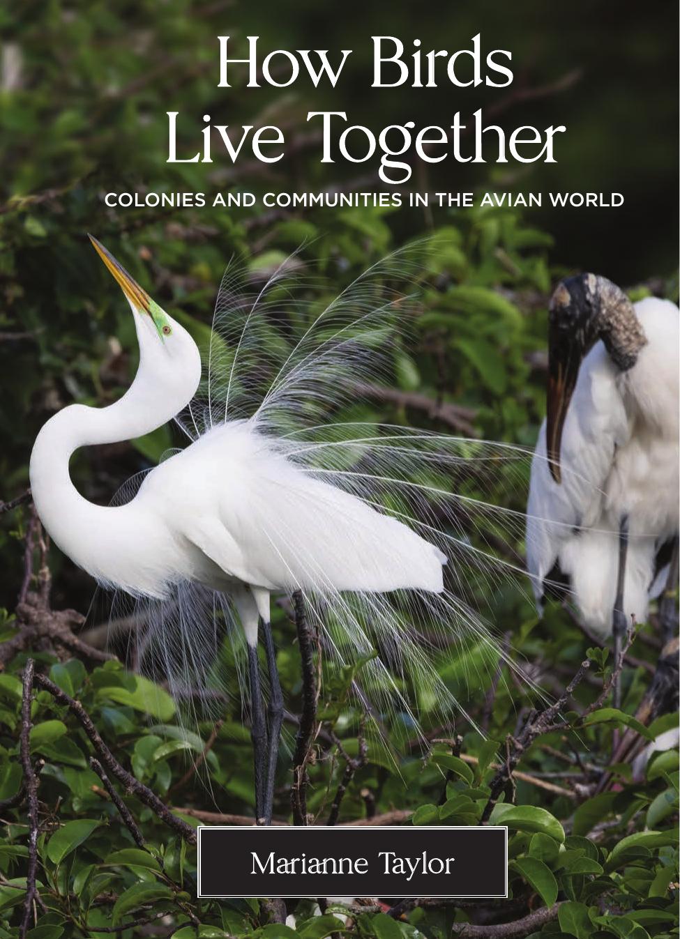 How Birds Live Togetherer by Marianne Taylor