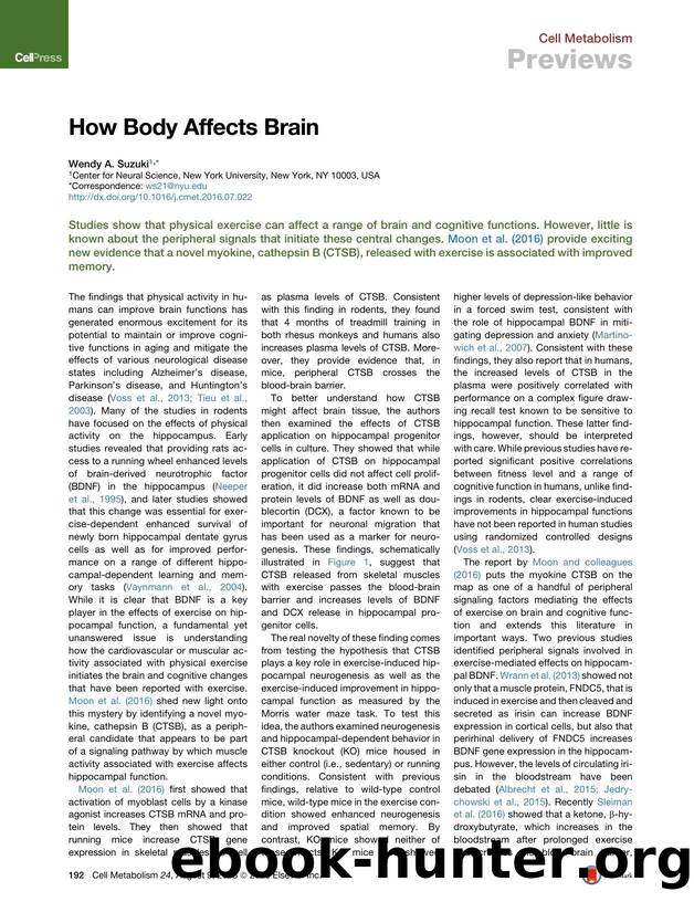 How Body Affects Brain by Wendy A. Suzuki