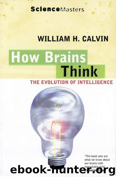 How Brains Think (SCIENCE MASTERS) by William H. Calvin