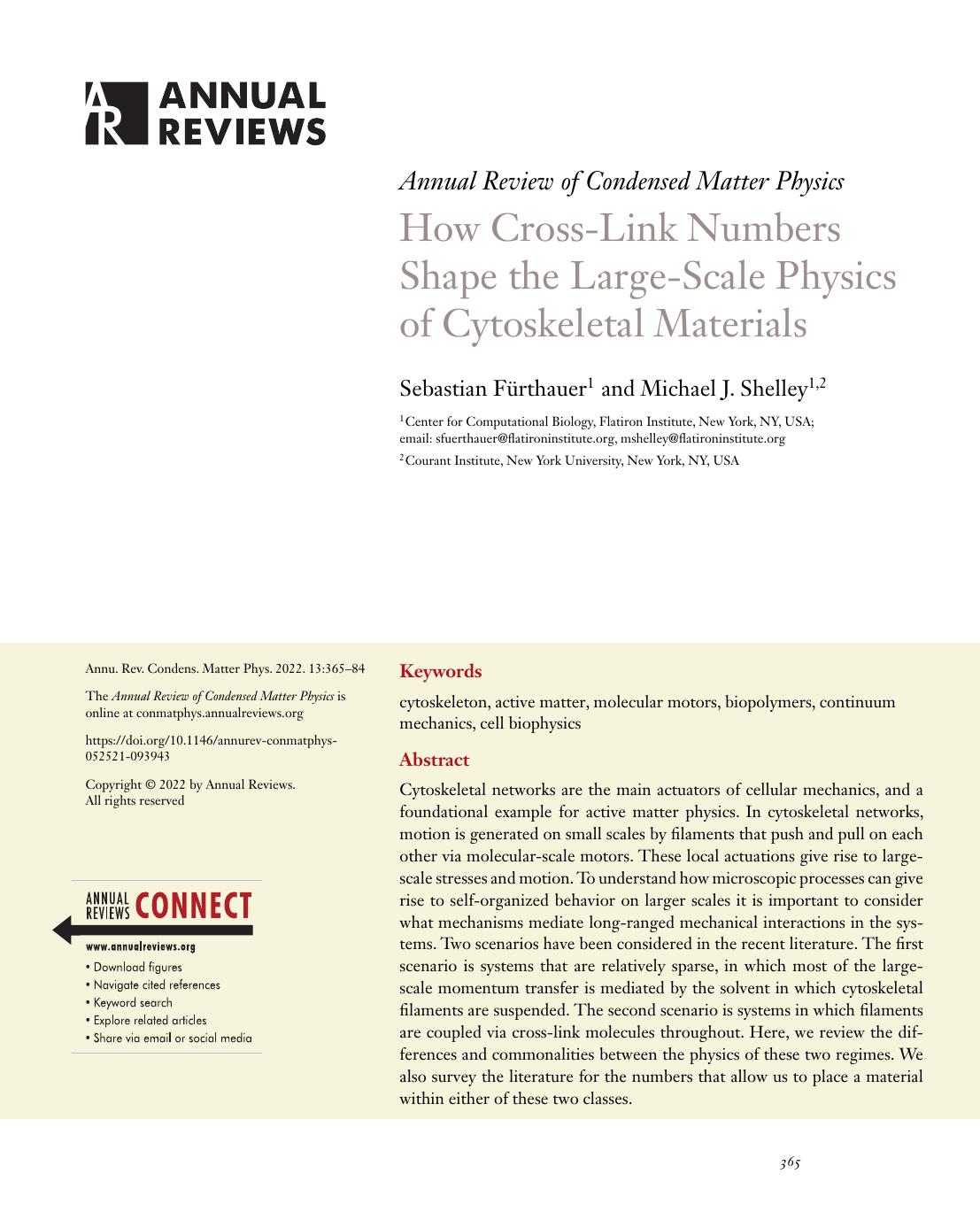How Cross-Link Numbers Shape the Large-Scale Physics of Cytoskeletal Materials by Sebastian Fürthauer and Michael J. Shelley