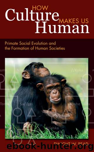 How Culture Makes Us Human: Primate Social Evolution and the Formation of Human Societies by Read Dwight W