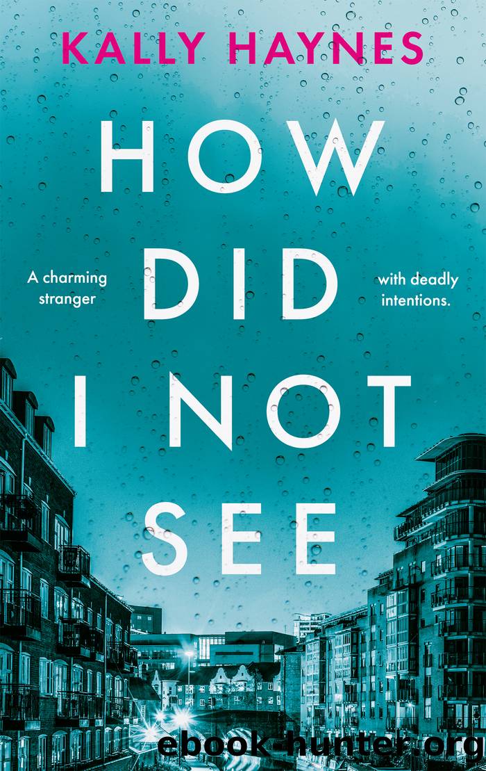 How Did I Not See by Kally Haynes
