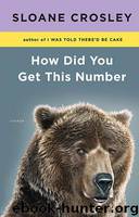 How Did You Get This Number (精装) by Sloane Crosley