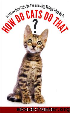 How Do Cats Do That?: Discover How Cats Do The Amazing Things They Do by Peter Scottsdale