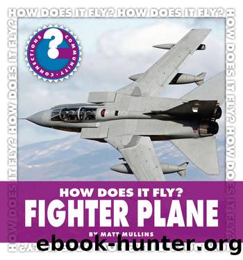 How Does It Fly? Fighter Plane by Matt Mullins