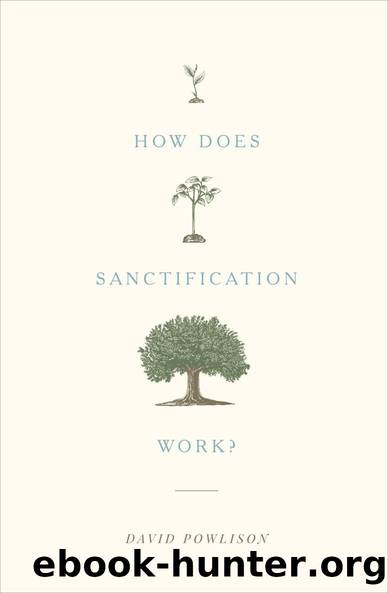 How Does Sanctification Work? by David Powlison