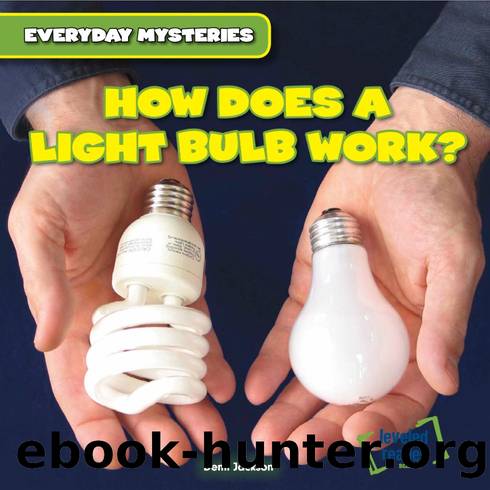 How Does a Light Bulb Work? by Demi Jackson