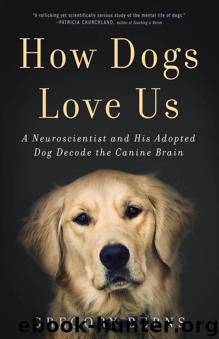 How Dogs Love Us: A Neuroscientist and His Adopted Dog Decode the Canine Brain by Berns Gregory