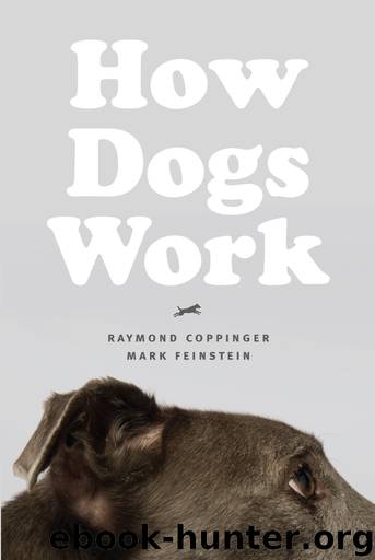 How Dogs Work by Raymond Coppinger & Mark Feinstein & Mark Feinstein