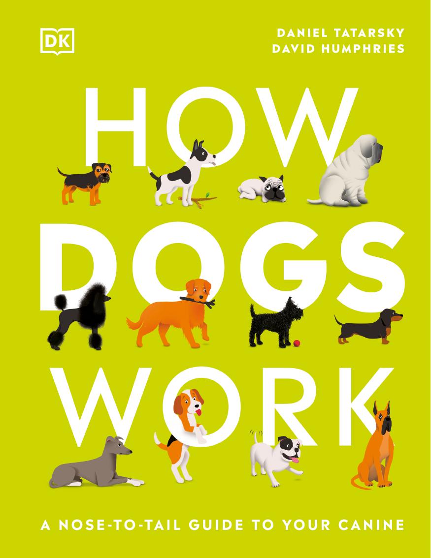 How Dogs Work: A Head-to-Tail Guide to Your Canine by Daniel Tatarsky