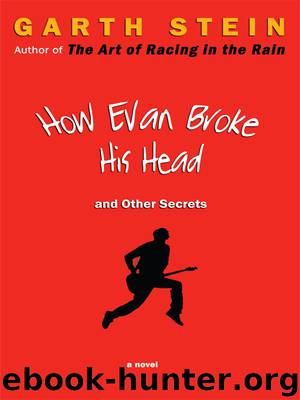 How Evan Broke His Head and Other Secrets by Garth Stein
