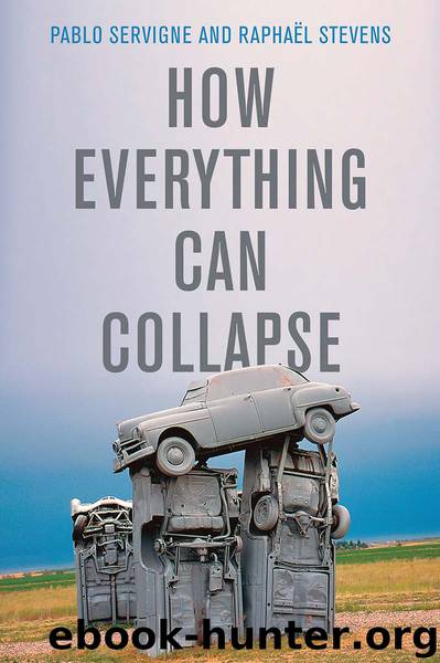 How Everything Can Collapse by Pablo Servigne;Raphael Stevens; & Raphaël Stevens