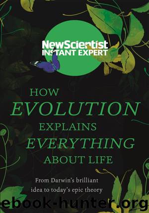 How Evolution Explains Everything About Life by New Scientist