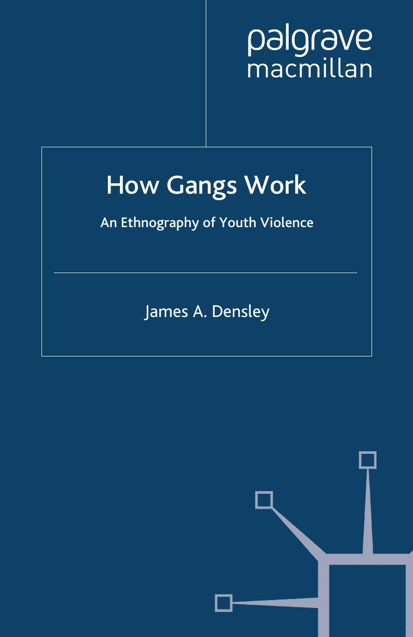 How Gangs Work: An Ethnography of Youth Violence by James A. Densley (auth.)