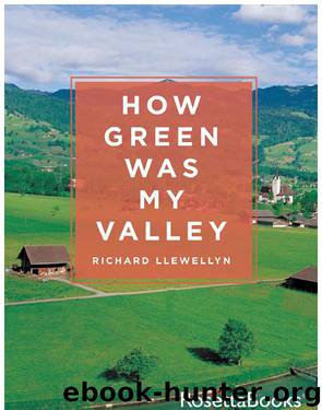 How Green Was My Valley by Richard Llewellyn