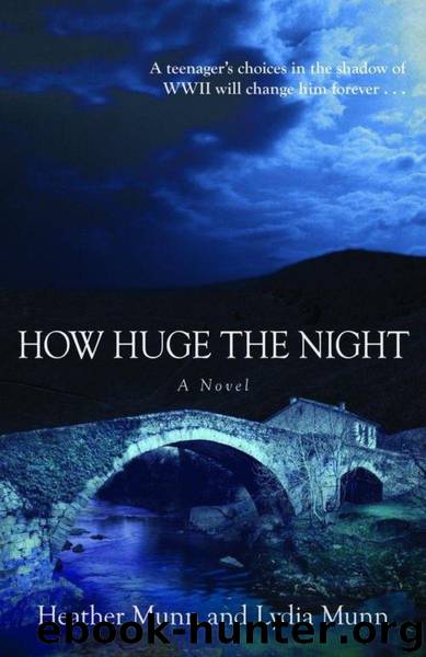 How Huge the Night by Munn Heather & Lydia Munn
