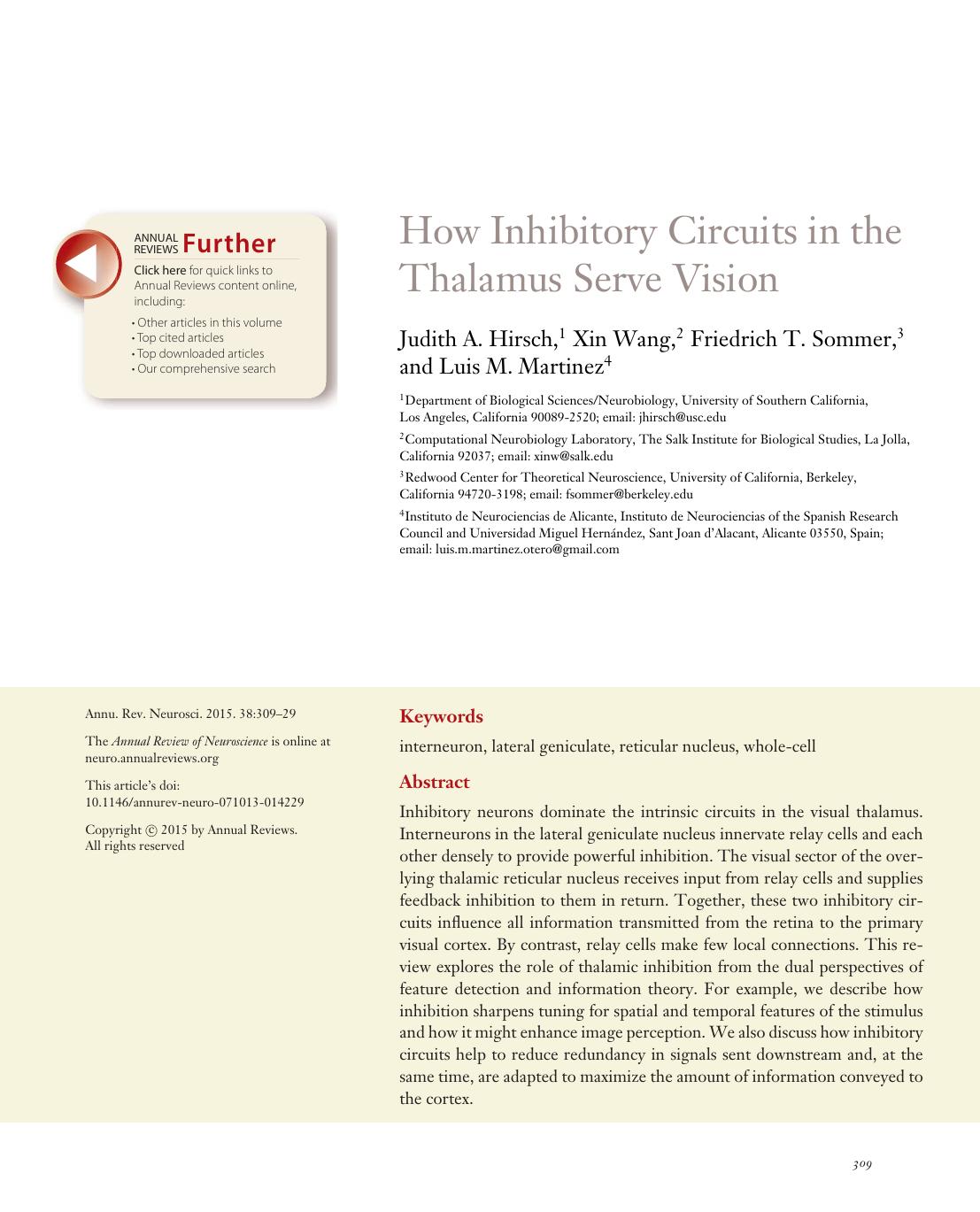 How Inhibitory Circuits in the Thalamus Serve Vision by Judith A. Hirsch Xin Wang Friedrich T. Sommer Luis M. Martinez