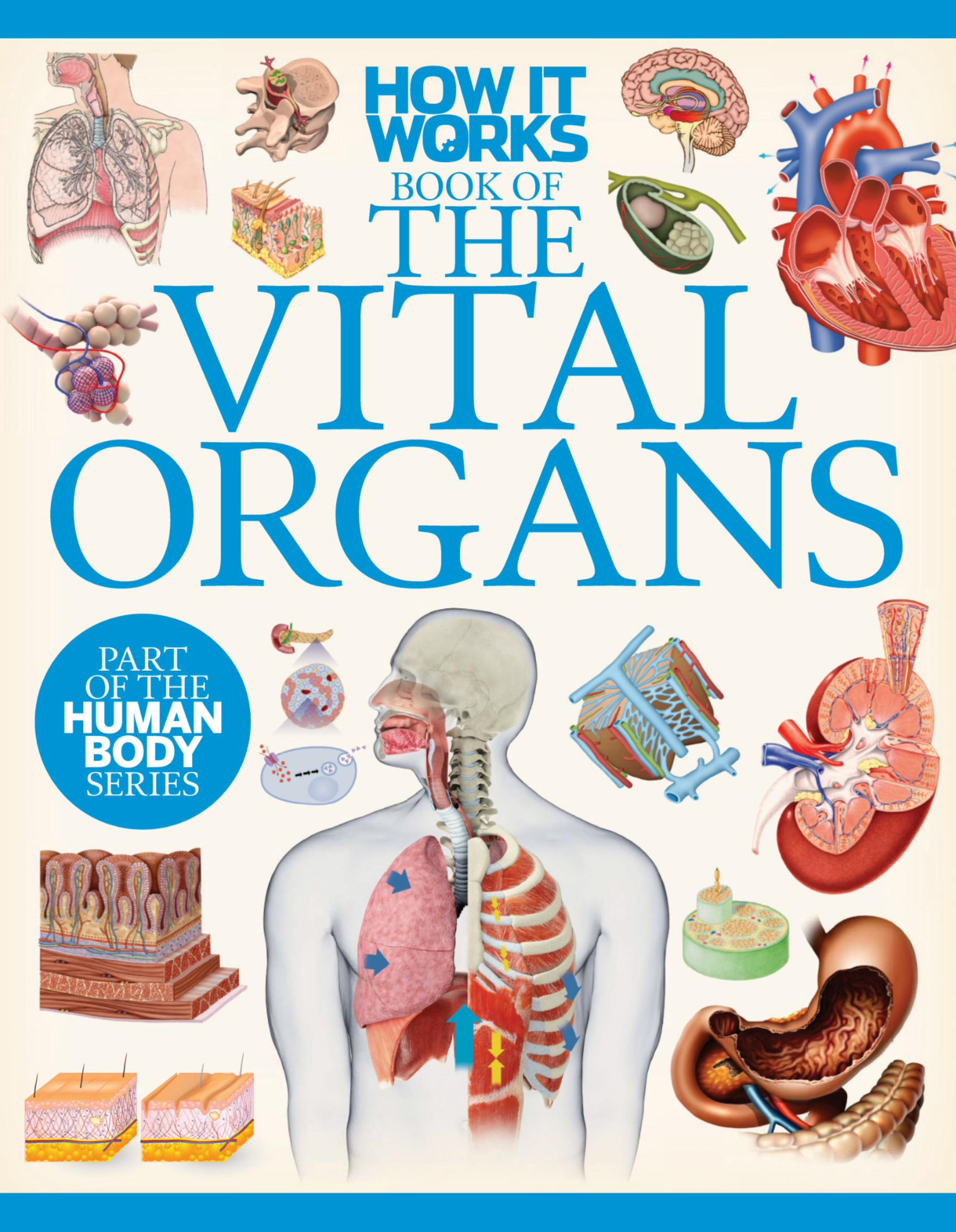 How It Works - The Vital Organs, 1st Edition by Unknow