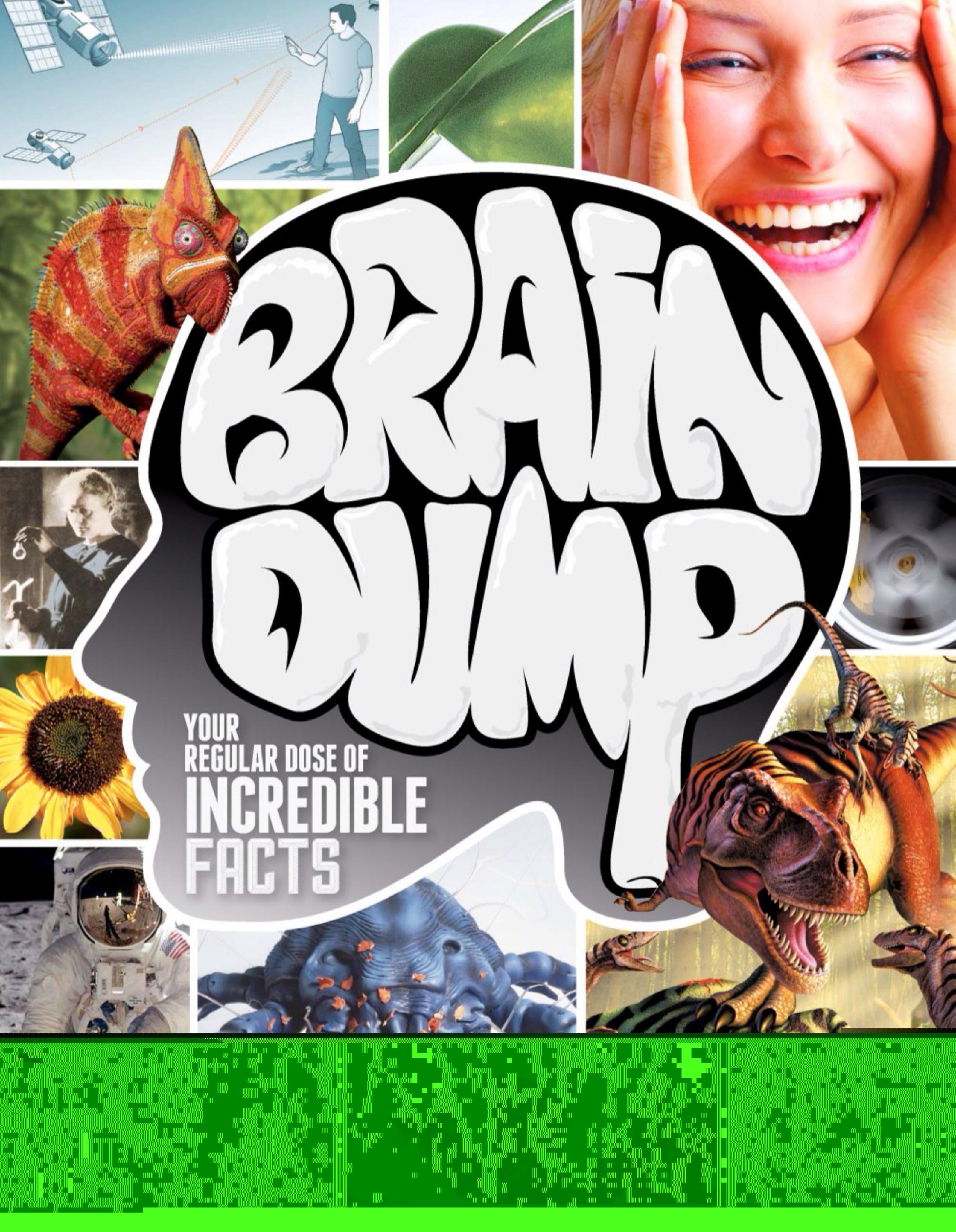 How It Works Brain Dump by Issue 2 2013