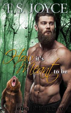 How It's Meant to Be by T. S. Joyce