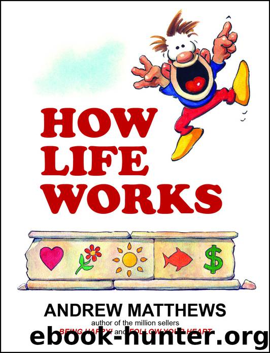 How Life Works by Andrew Matthews