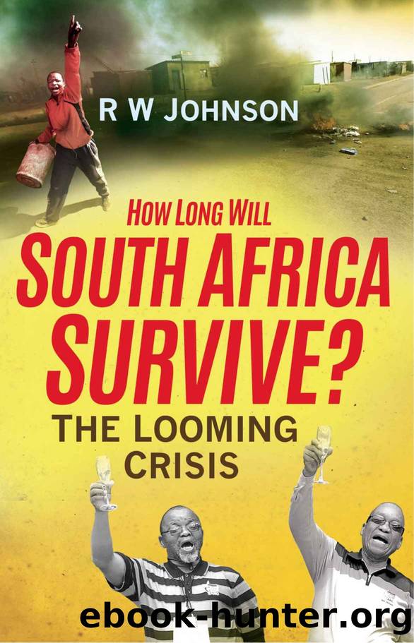 How Long Will South Africa Survive?: The Looming Crisis by RW Johnson