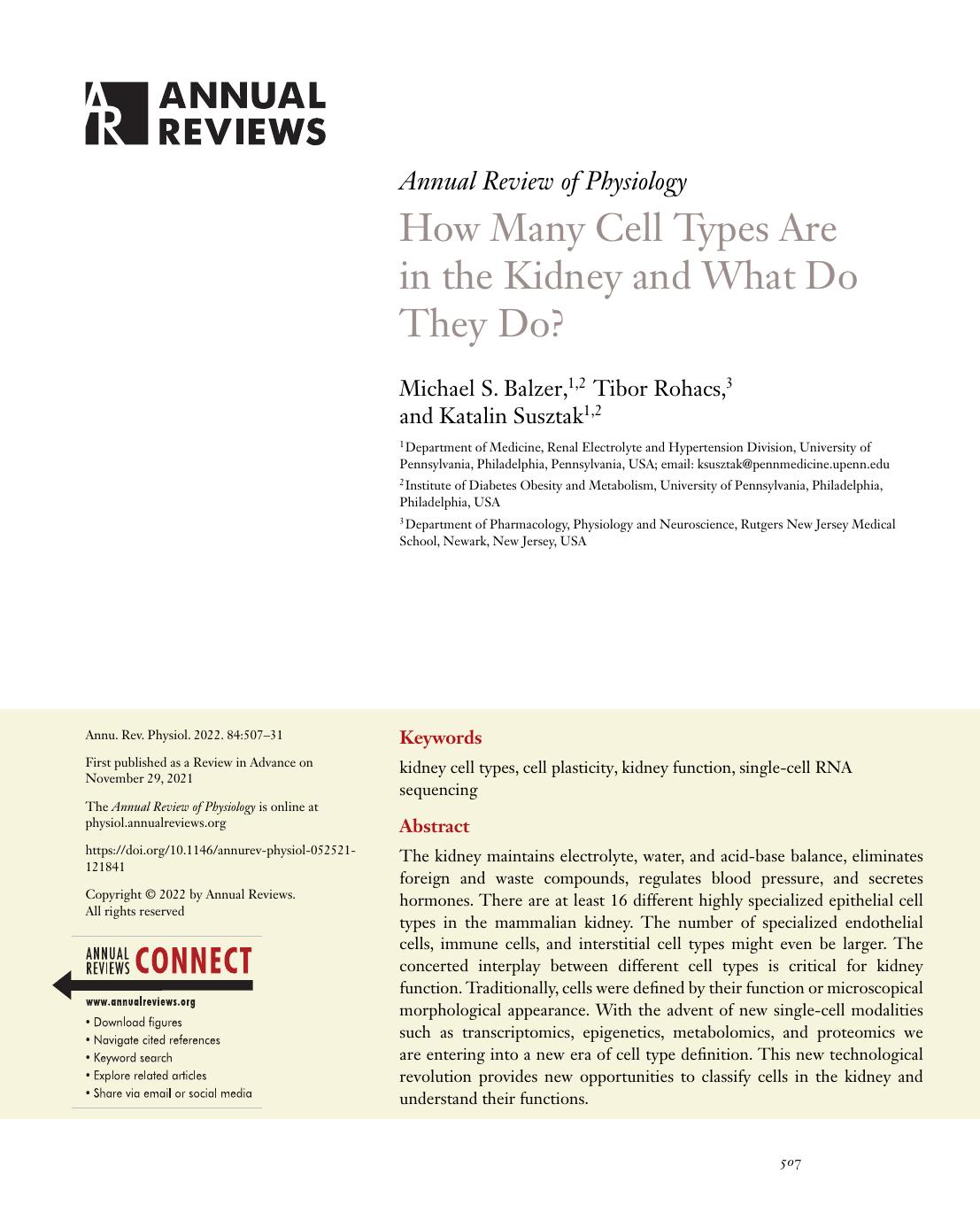 How Many Cell Types Are in the Kidney and What Do They Do? by Michael S. Balzer Tibor Rohacs Katalin Susztak