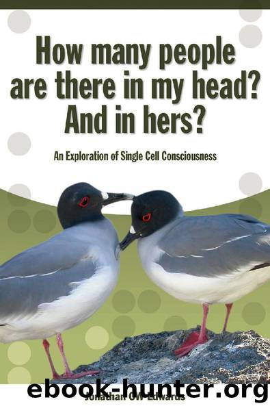 How Many People Are There In My Head? And In Hers? by Jonathan C.W. Edwards