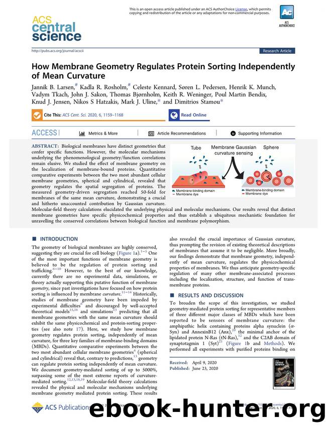 How Membrane Geometry Regulates Protein Sorting Independently of Mean Curvature by unknow