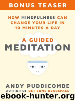 How Mindfulness Can Change Your Life in 10 Minutes a Day by Andy Puddicombe