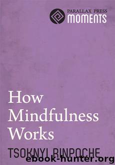 How Mindfulness Works by Tsoknyi Rinpoche