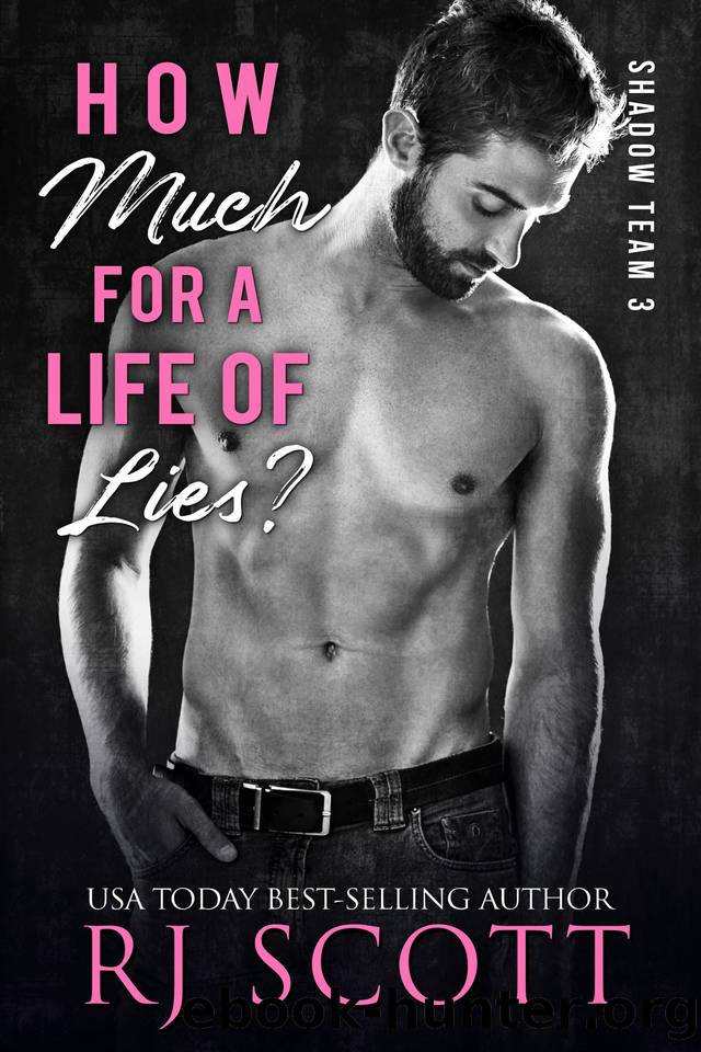 How Much For a Life of Lies? (Shadow Team Book 3) by RJ Scott