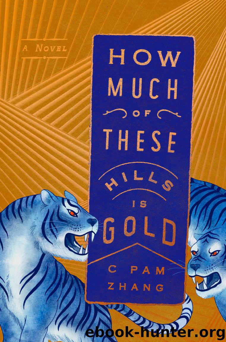 How Much of These Hills Is Gold by C Pam Zhang