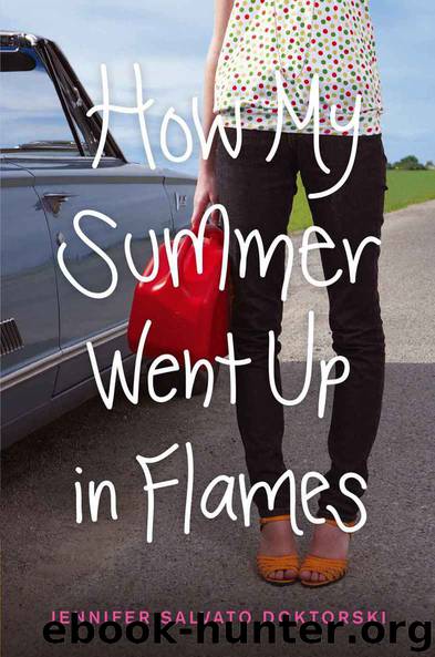 How My Summer Went Up in Flames by Doktorski Jennifer Salvato