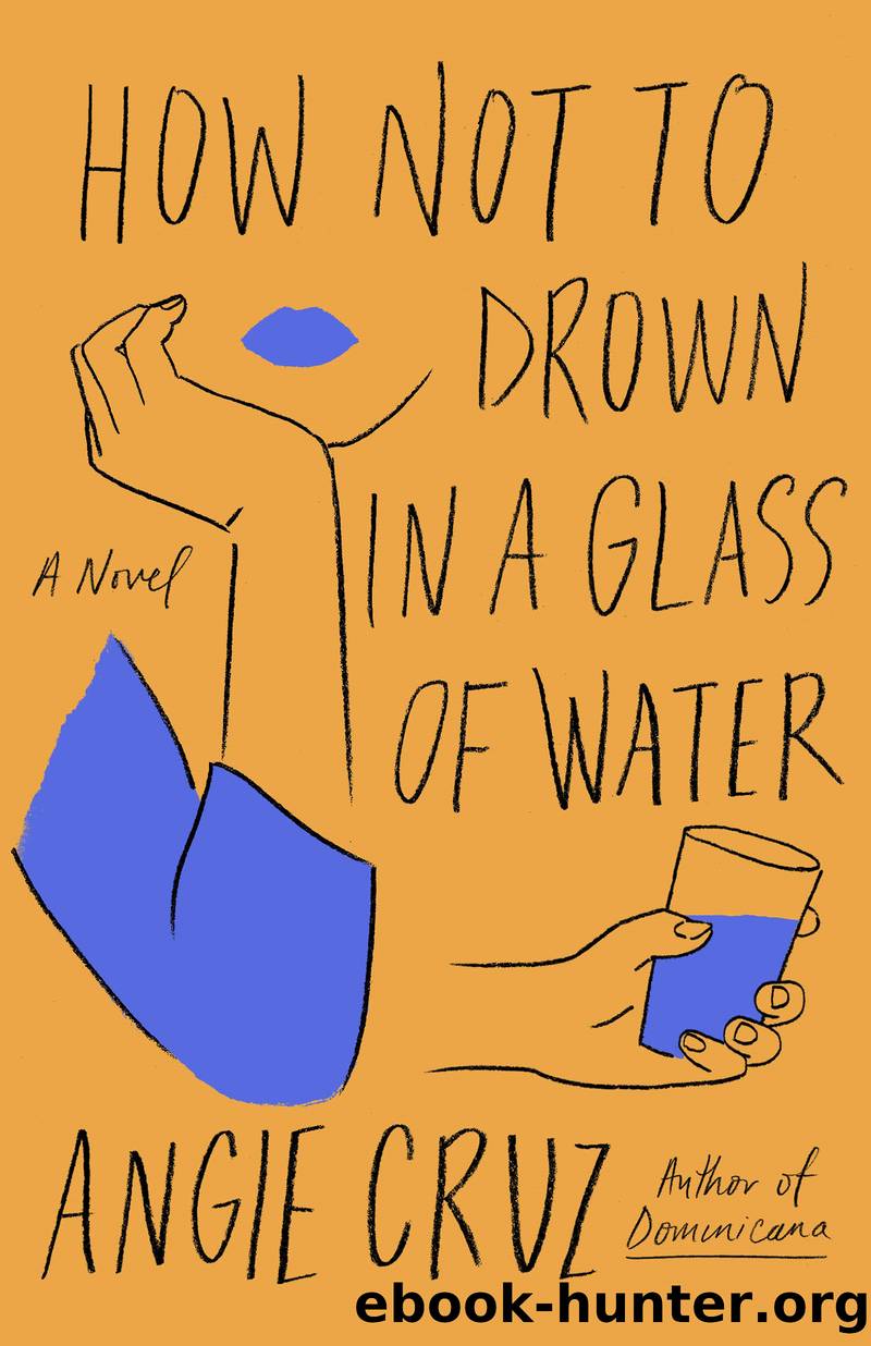How Not to Drown in a Glass of Water by Angie Cruz