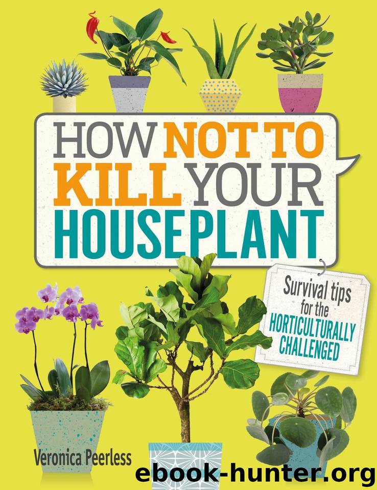 How Not to Kill Your Houseplant by Peerless Veronica