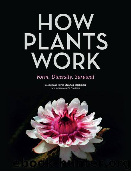 How Plants Work by Stephen Blackmore